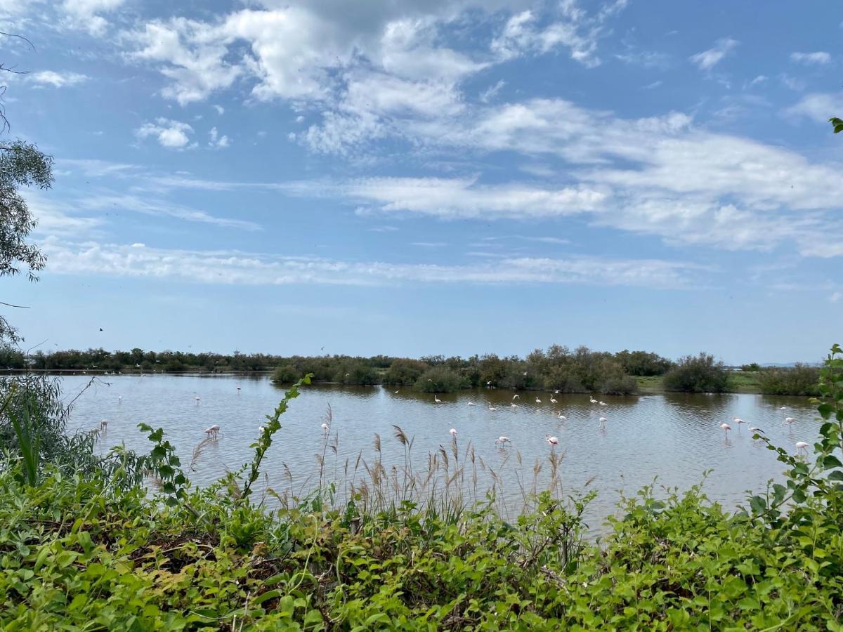 New Jungle Lake - Clim - Wifi - Draps & Serviettes - Bbq - 10' Des Plages Lattes Buitenkant foto